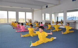 跆拳道运营方案，跆拳道训练计划方案