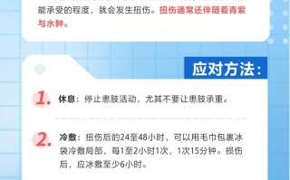 基地管理运营情况，基地管理运营情况怎么写