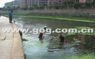 河道运营维护报价，河道运营管理维护方案