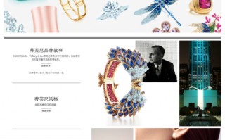 珠宝品牌运营是什么，珠宝品牌运营是什么意思