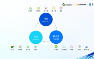 田卓鹏运营品牌，田卓鹏运营品牌是什么