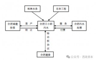 项目代理运营方案，项目代理运营方案怎么写