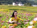 花姿海代运营，花姿海电商