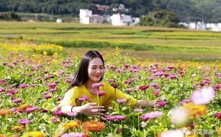 花姿海代运营，花姿海电商