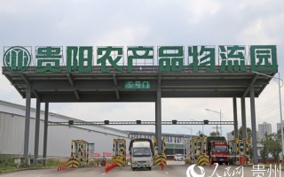 贵阳资产运营中心，贵阳资产运营中心招聘