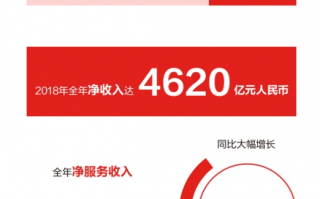 京东商城 运营，京东商城运营主体
