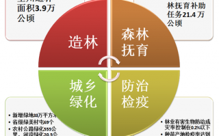 集团运营中心职责，集团运营中心职责是什么