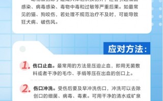 机场运营知识，机场运营知识培训