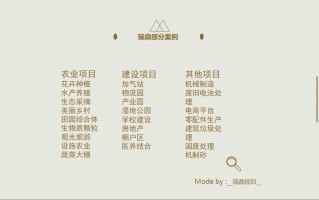 品牌策划项目代运营，品牌策划项目代运营怎么做