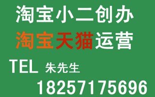 沧州天猫代运营，保定天猫代运营