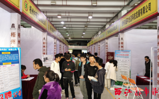南宁招聘运营，南宁招聘信息