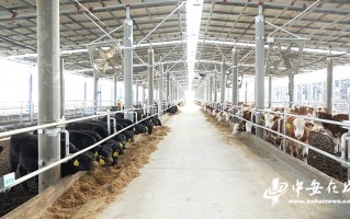 养鸡场运营管理方案，养鸡场运营管理方案范文