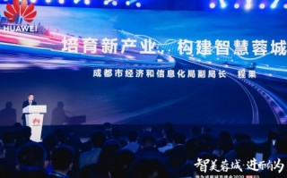 智美集团 运营，智美集团 运营总监是谁