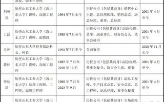 运营总监工作计划，运营总监工作计划及目标管理