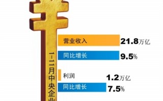 国有资产运营，国有资产运营管理有限公司